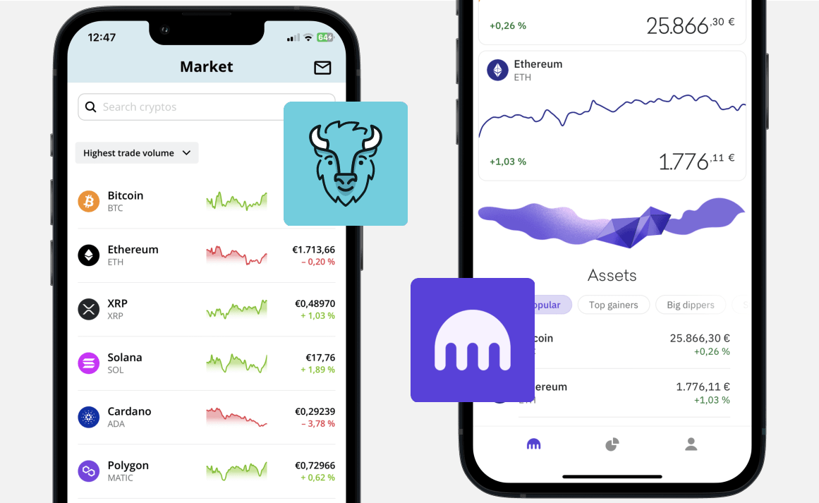 Bison vs Kraken: Dashboard